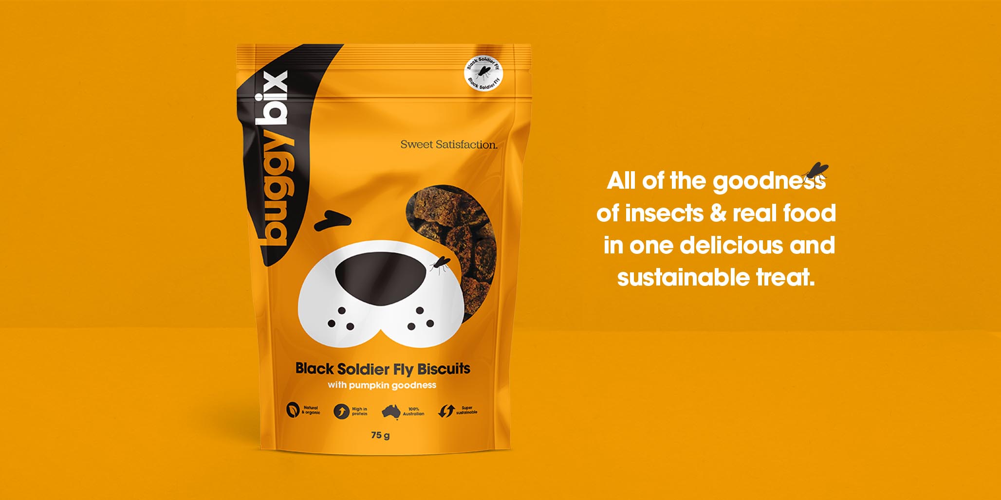 Creative Packaging Design project for pet care products brand Buggy Bix, Sydney, Australia, image C