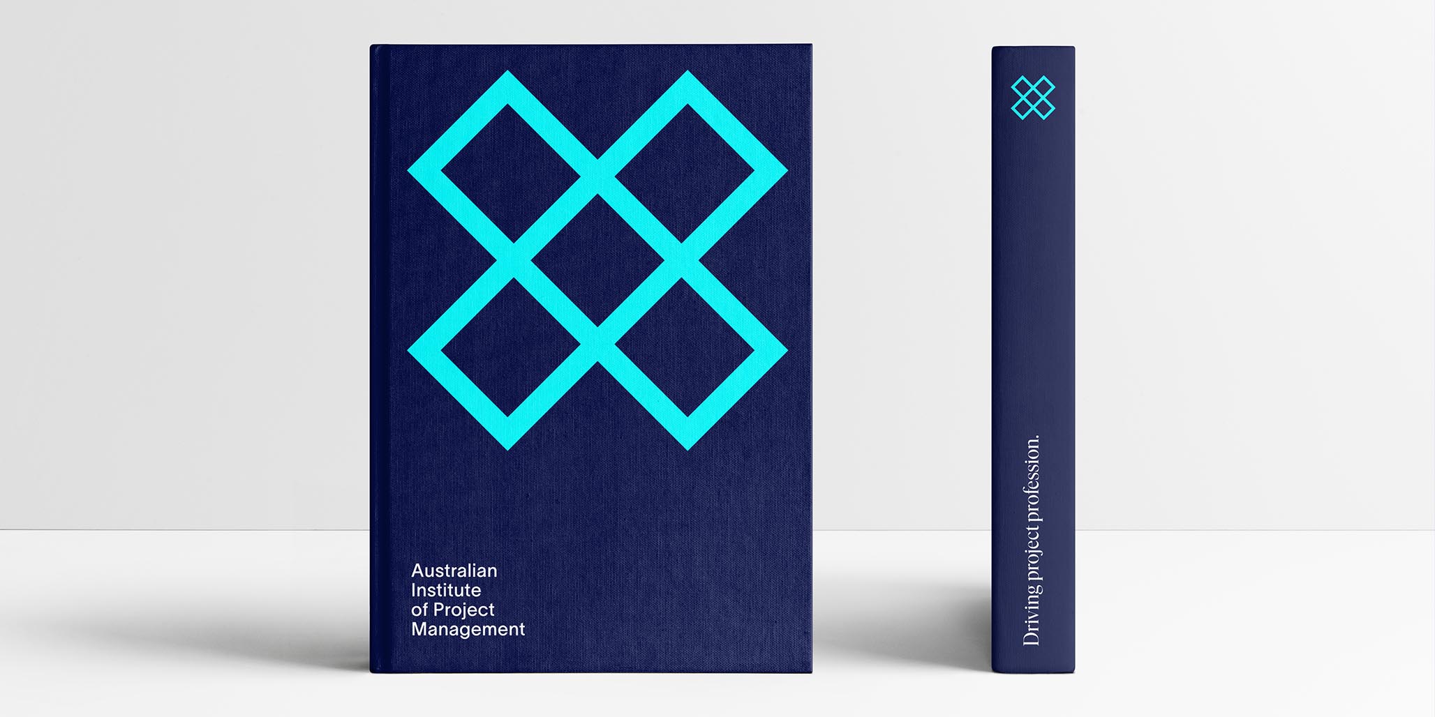 Brand positioning for Australian Institute of Project Management, brand identity image I