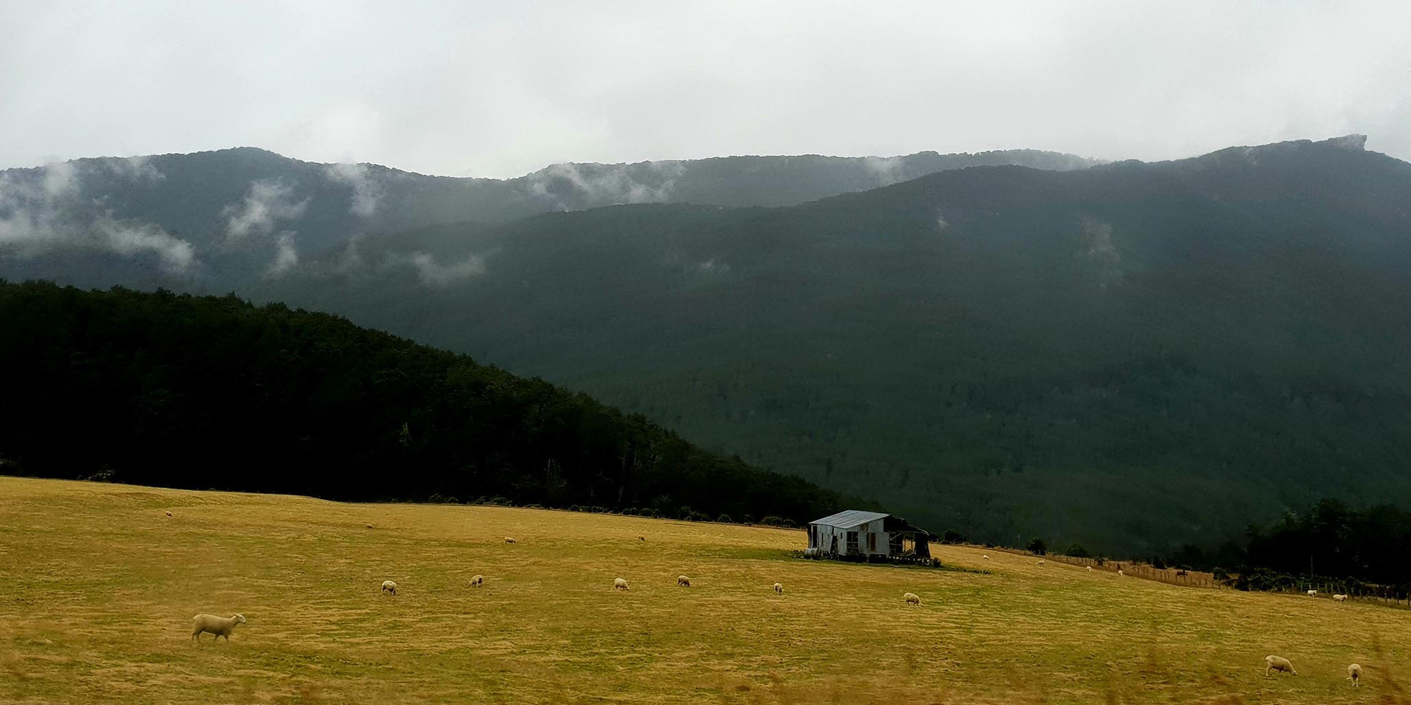 Percept is a branding agency in Sydney, Australia, known for successful packaging design, which is why this New Zealand company chose Percept for branding and packaging design. Image D