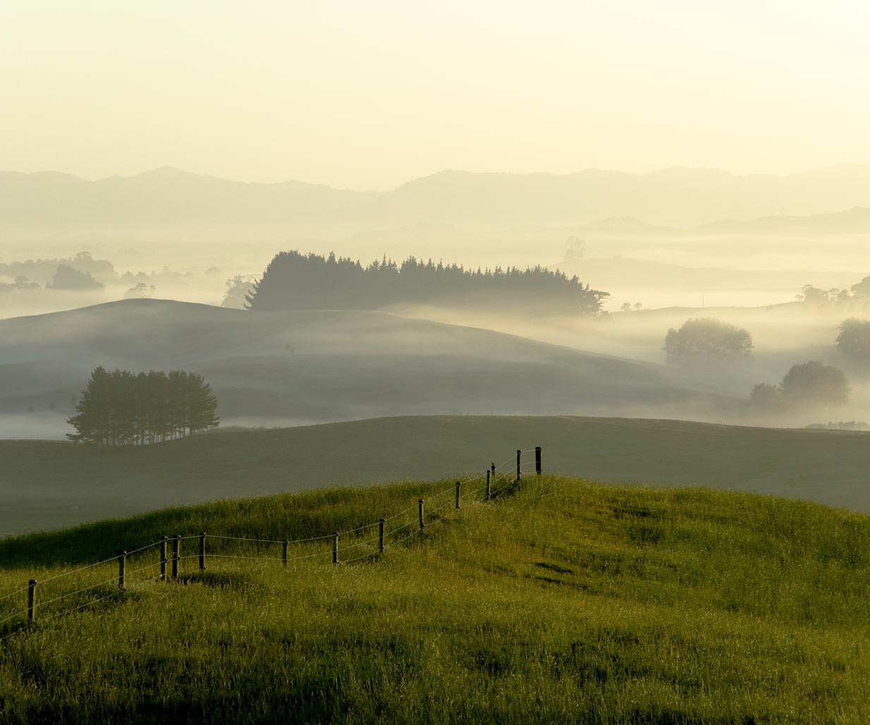 Percept is a branding agency in Sydney, Australia, known for successful packaging design, which is why this New Zealand company chose Percept for branding and packaging design. Image J