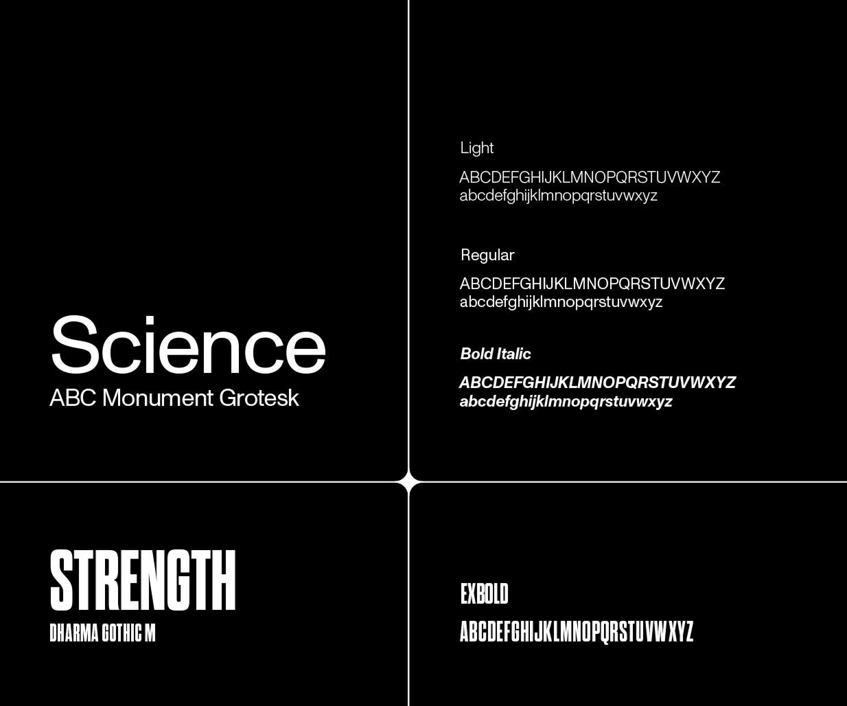 Brand Creation by Packaging Designer, Percept. Image B